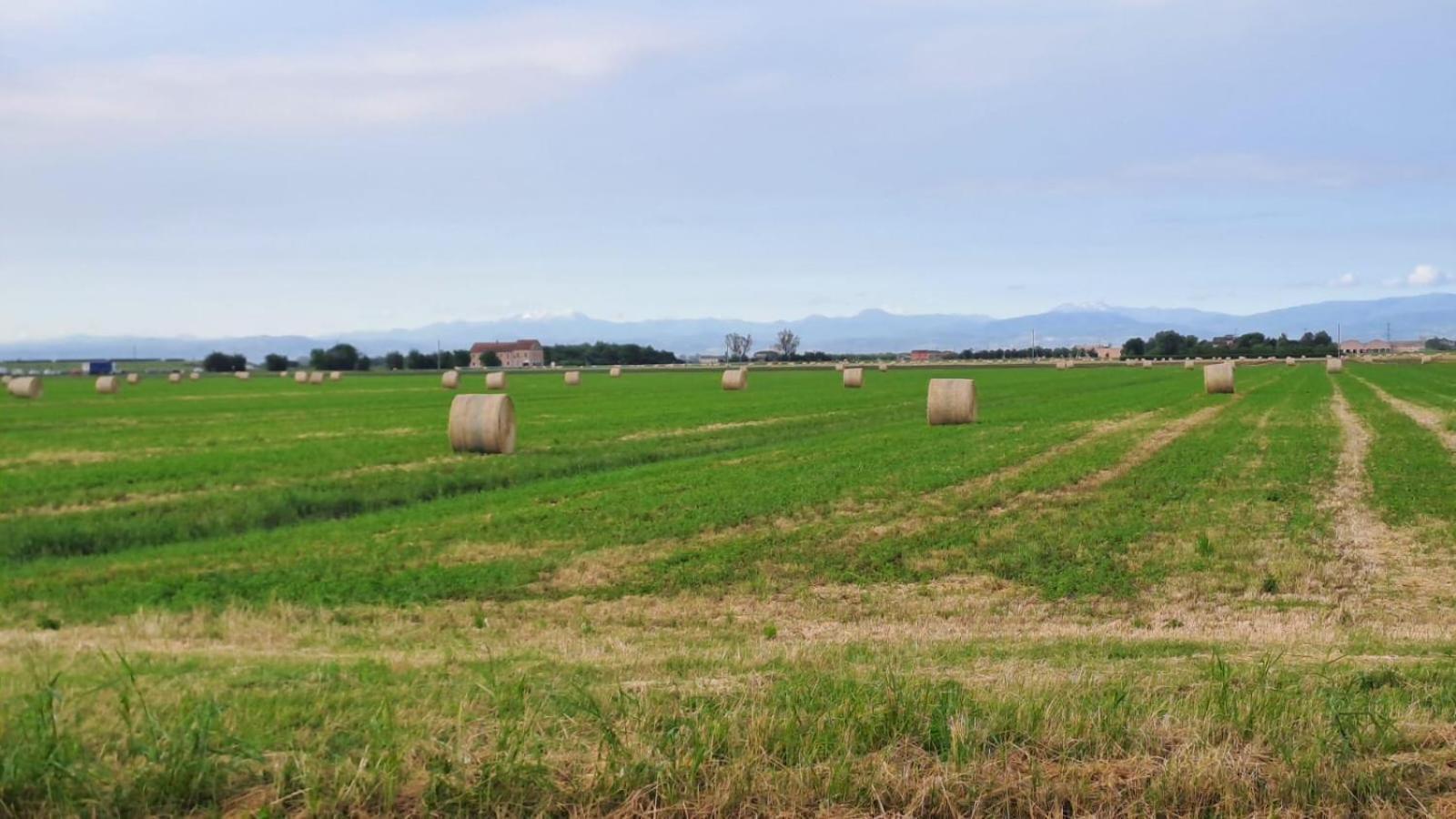 Ducathotel Torrile Buitenkant foto